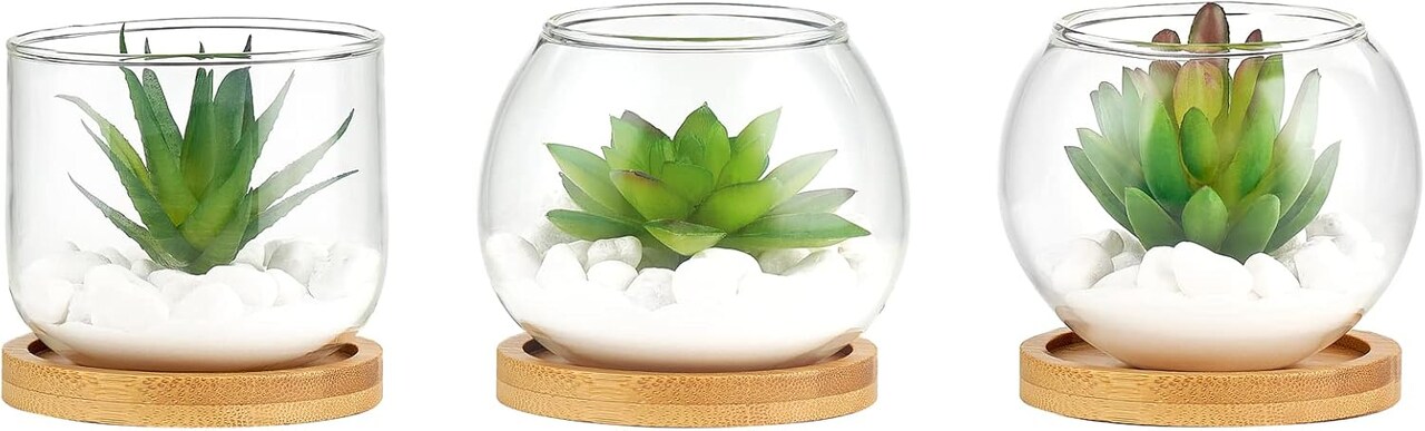 Set of 3 Mini Artificial Succulent Plants in Clear Glass Pots with Bamboo Tray – Realistic Faux Green Desk Plants for Home, Office, Bathroom, Kitchen & Tabletop Decor